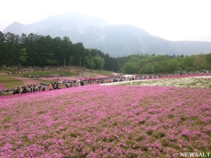 2016ゴールデンウイーク写真特集（2）