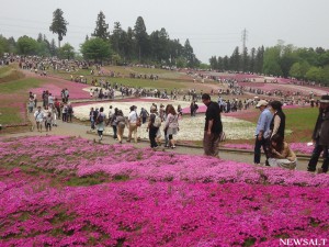 2016ゴールデンウイーク写真特集（2）