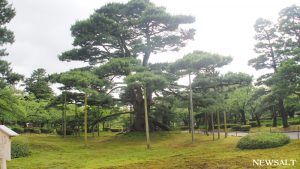 金沢「兼六園」　歴代藩主の願いを映した名勝地