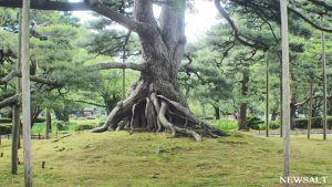 金沢「兼六園」　歴代藩主の願いを映した名勝地