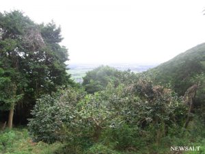 〝あつい″夏の記憶を刻む～2016年夏の写真特集(2)