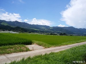 【コラム】復旧した南阿蘇鉄道に乗ってみた