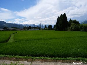 【コラム】復旧した南阿蘇鉄道に乗ってみた