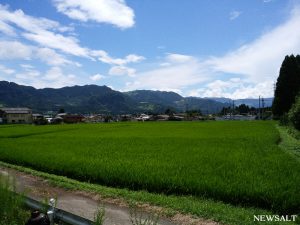 【コラム】復旧した南阿蘇鉄道に乗ってみた