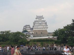 “あつい”夏の記憶を刻む～2016年夏の写真特集（4）