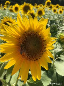 〝あつい″夏の記憶を刻む～2016年夏の写真特集