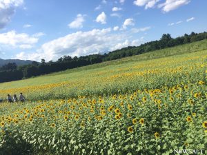 〝あつい″夏の記憶を刻む～2016年夏の写真特集