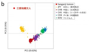 縄文人は東アジア人と比べ、遺伝的に特異な集団だった！