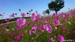 秋の北海道を散策（3）～さっぽろ羊ケ丘展望台