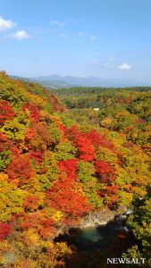 八幡平の紅葉、松川渓谷