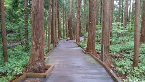 秋の北海道を散策（4）～円山公園～円山動物園