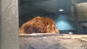 秋の北海道を散策（4）～円山公園～円山動物園