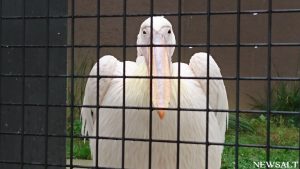 秋の北海道を散策（4）～円山公園～円山動物園