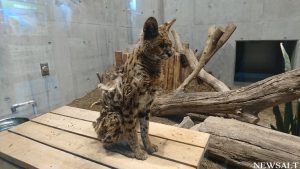 秋の北海道を散策（4）～円山公園～円山動物園