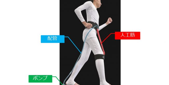 処理速度トレーニングで高齢者の認知力と抑うつ気分に効果 東北大 News Salt ニュースソルト