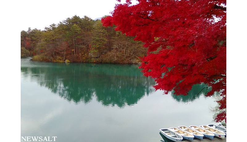 五色沼の毘沙門沼はラスト紅葉 News Salt ニュースソルト