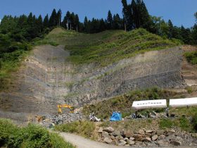 福井県「勝山恐竜化石群及び産地」が天然記念物に