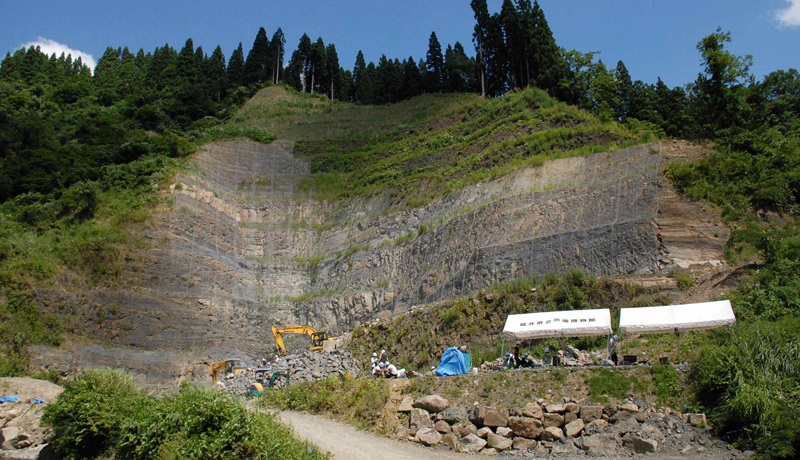 福井県「勝山恐竜化石群及び産地」が天然記念物に