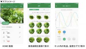 IoTを活用して野菜を作ろう！　水耕栽培キットを販売　沖縄セルラー