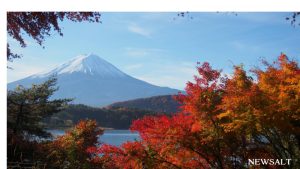 2016年 紅葉便り～紅葉と富士山の絶景を楽しむ河口湖・山梨県