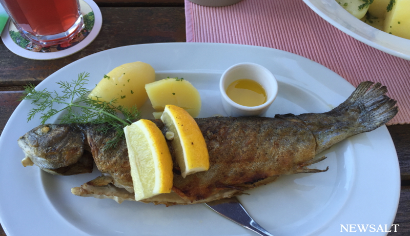 ご当地自慢を探せ 5 ドイツの絶品魚料理 マスのグリル News Salt ニュースソルト