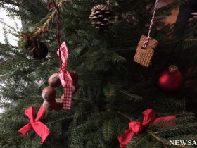 2016年ドイツクリスマス便り(1)　地味でシブい！がいい　聖アンナ教会のツリー