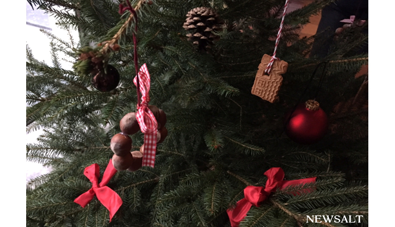 2016年ドイツクリスマス便り(1)　地味でシブい！がいい　聖アンナ教会のツリー