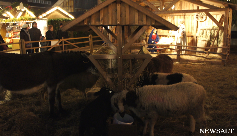 2016年ドイツクリスマス便り（2）キリスト生誕場面の主役が動物に……