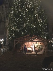 2016年ドイツクリスマス便り（2）キリスト生誕場面の主役が動物に……
