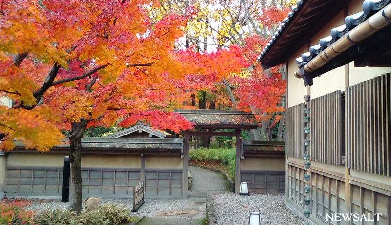 かつて「御泉水屋敷」と呼ばれていた名園　福井県　養浩館庭園