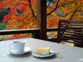 カフェめぐり　渓流のせせらぎと紅葉の贅沢な時間　香嵐渓「堅香子」