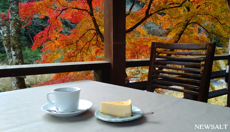 カフェめぐり　渓流のせせらぎと紅葉の贅沢な時間　香嵐渓「堅香子」