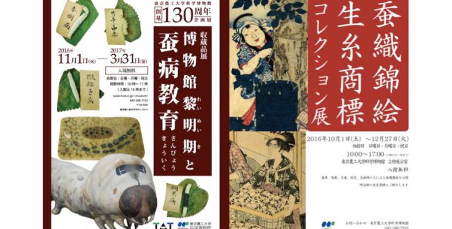 東京農工大学科学博物館が130周年　「養蚕」に関する企画展開催