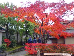 かつて「御泉水屋敷」と呼ばれていた名園　福井県　養浩館庭園