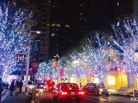2016年クリスマスの風景～東京・六本木けやき坂