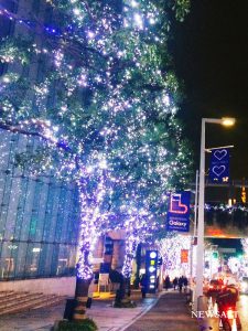 2016年クリスマスの風景～東京・六本木けやき坂