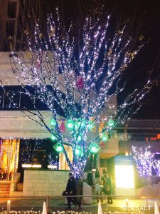 2016年クリスマスの風景～東京・六本木けやき坂