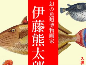 幻の魚類博物画家の企画展開催　東京海洋大学付属図書館