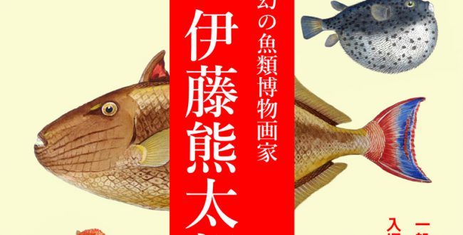 幻の魚類博物画家の企画展開催　東京海洋大学付属図書館