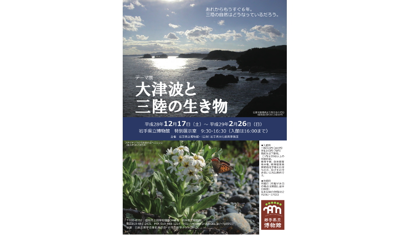 岩手県立博物館が企画展　津波が与えた生態系への影響がテーマ