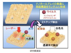 ウイルスの光検出感度が2倍に　大阪府立大の研究チームが成果