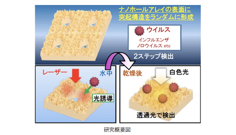 ウイルスの光検出感度が2倍に　大阪府立大の研究チームが成果