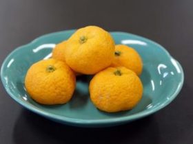近大医学部奈良病院で「大和橘」を病院食に