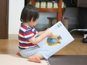 子どもの読書意欲を上げる「ぬいぐるみお泊り会」　岡山大学が実験