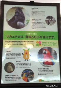 レゴ製の「イケメンゴリラ」、名古屋・栄に登場！　東山動物園の人気者