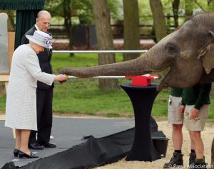 英エリザベス女王、ゾウと対面