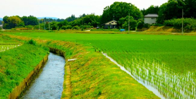 余暇を農山漁村で過ごす「グリーン・ツーリズム」を外国人にPR　熊本県
