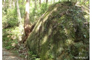 GWお出かけレポート 都内近郊「石老山」で山登り