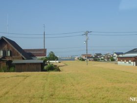 四国ローカル線の旅（3）松山から予讃線で香川へ