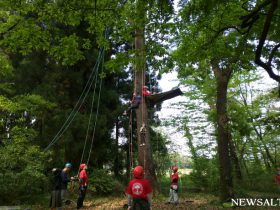 新緑を樹上から体験！　ツリークライミング